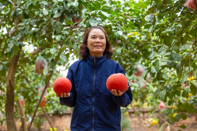 vnp_lang trong buoi do 12.jpg