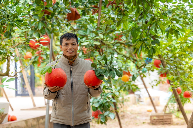 vnp_lang trong buoi do 8.jpg