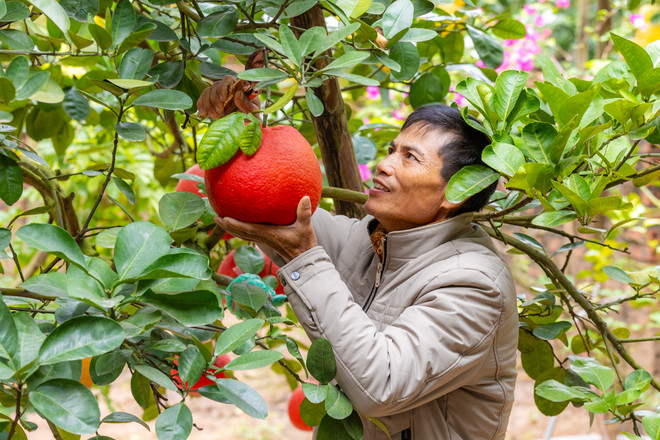 vnp_lang trong buoi do 4.jpg