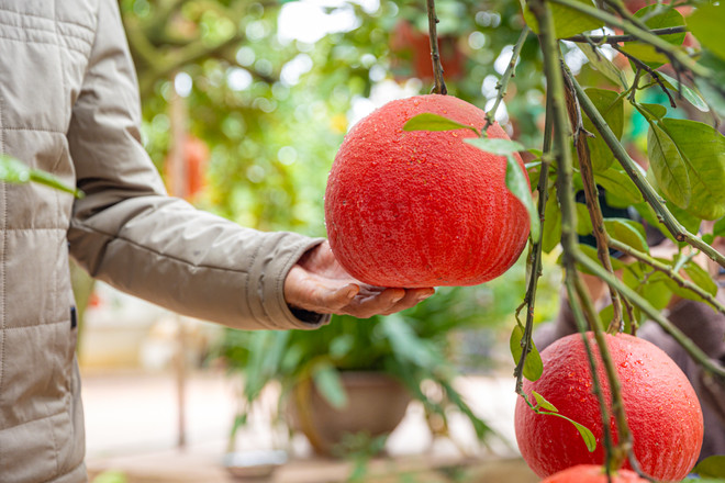 vnp_lang trong buoi do 3.jpg