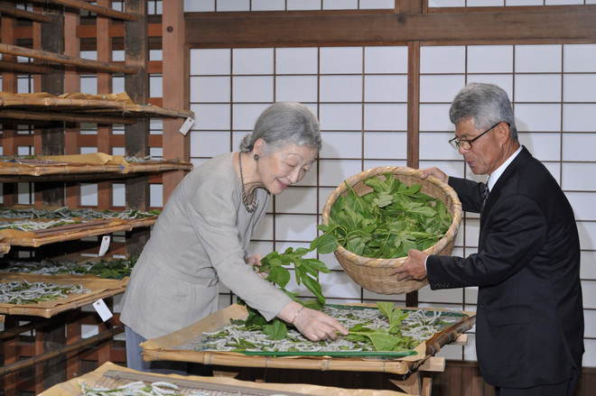 Những hình ảnh rất dung dị của Nhật hoàng Akihito và Hoàng hậu ảnh 3