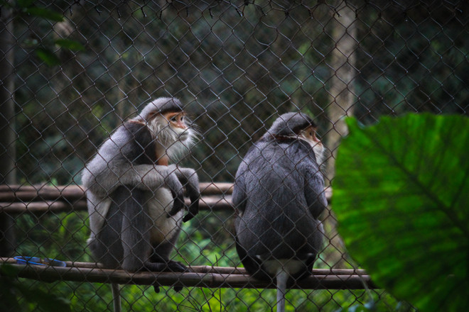 Đại sứ Ted Osius: Động vật hoang dã vẫn còn có cơ hội được bảo vệ ảnh 10