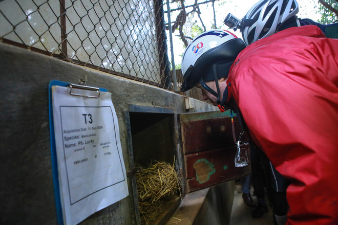 Đại sứ Ted Osius: Động vật hoang dã vẫn còn có cơ hội được bảo vệ ảnh 9