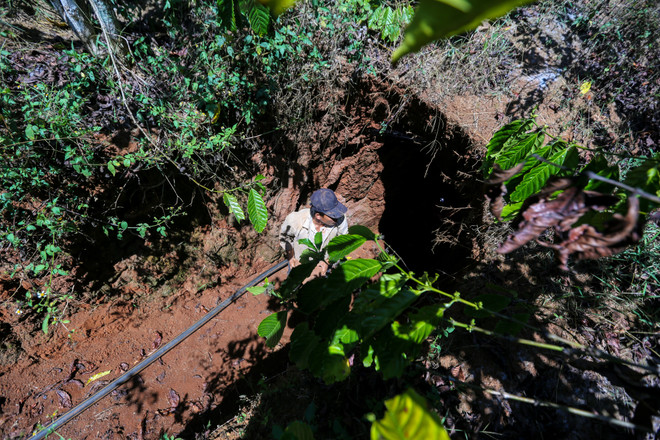 Những cuộc mưu sinh bên miệng hố "tử thần" ở Tây Nguyên ảnh 15