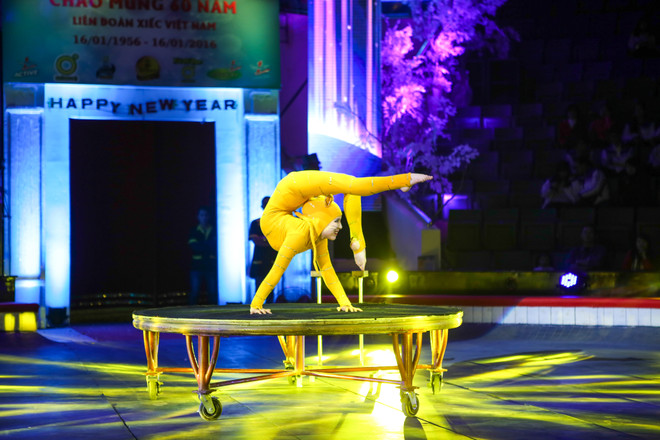 Gala xiếc quốc tế 2016: Ngày hội lớn của các nghệ sỹ và khán giả ảnh 15