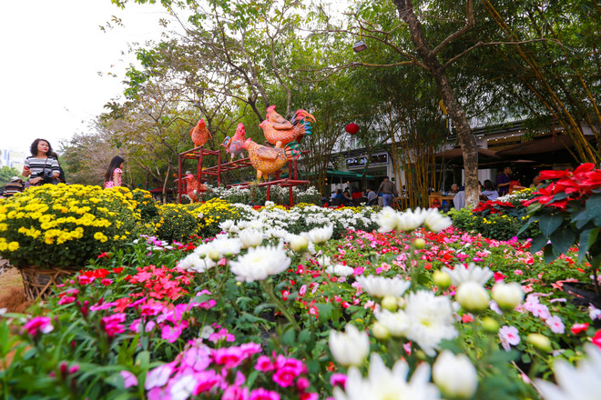 Người dân Thủ đô thích thú với lễ hội hoa xuân lớn nhất Tết 2017 ảnh 2