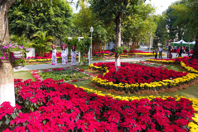 Người dân Thủ đô thích thú với lễ hội hoa xuân lớn nhất Tết 2017 ảnh 5