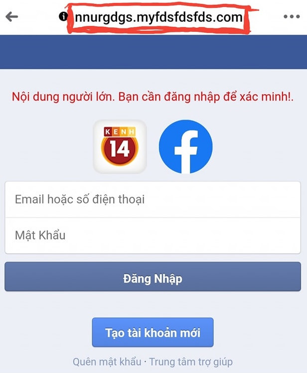 Rộ hình thức lừa đảo chiếm đoạt tài khoản Facebook dịp cuối năm ảnh 2
