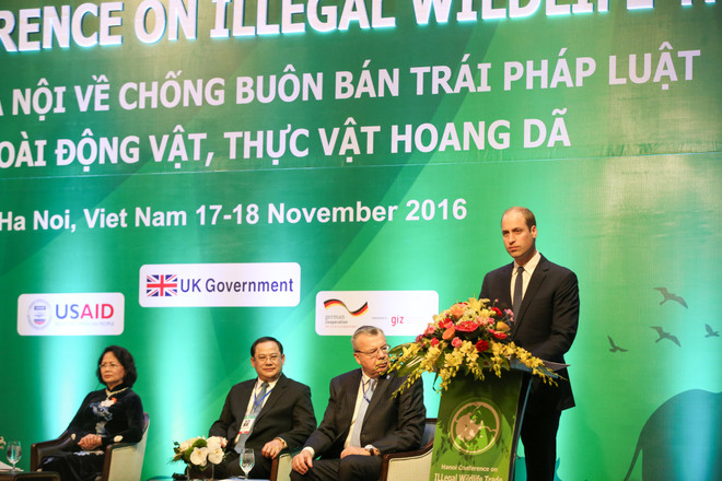 (Ảnh: Minh Sơn/Vietnam+) Hoàng tử Anh kêu gọi mọi người hãy từ chối sử dụng sừng tê giác ảnh 1