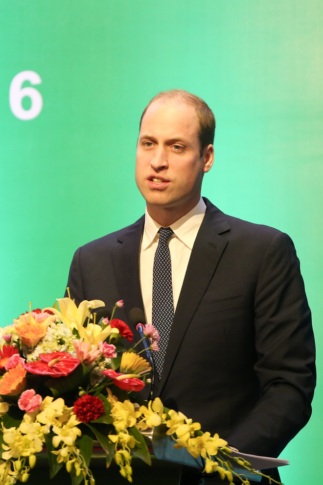 Hoàng tử William đã kêu gọi mọi người hãy hành động để bảo vệ tốt hơn nữa động vật quý hiếm bằng việc từ chối không sử dụng sừng tê giác. (Ảnh: Minh Sơn/Vietnam+) Hoàng tử Anh kêu gọi mọi người hãy từ chối sử dụng sừng tê giác ảnh 7