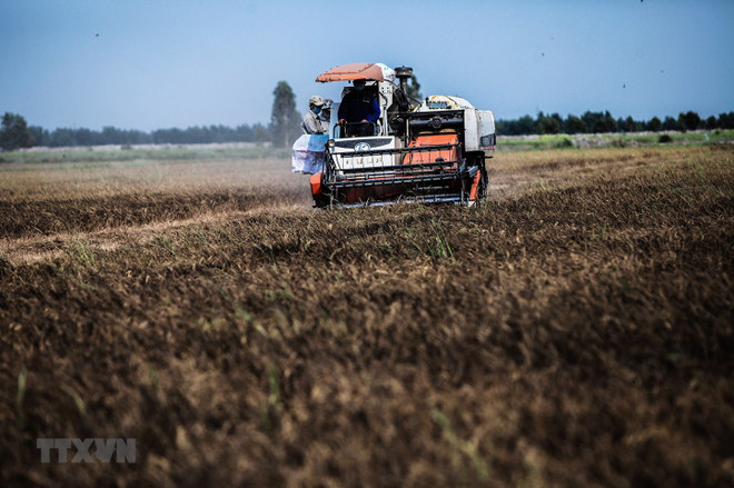 Ứng phó với biến đổi khí hậu: Dai dẳng cuộc chiến không tiếng súng ảnh 1