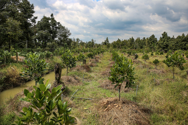 Ứng phó với biến đổi khí hậu: Dai dẳng cuộc chiến không tiếng súng ảnh 4