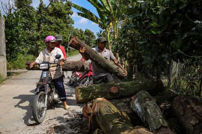 Ứng phó với biến đổi khí hậu: Dai dẳng cuộc chiến không tiếng súng ảnh 2