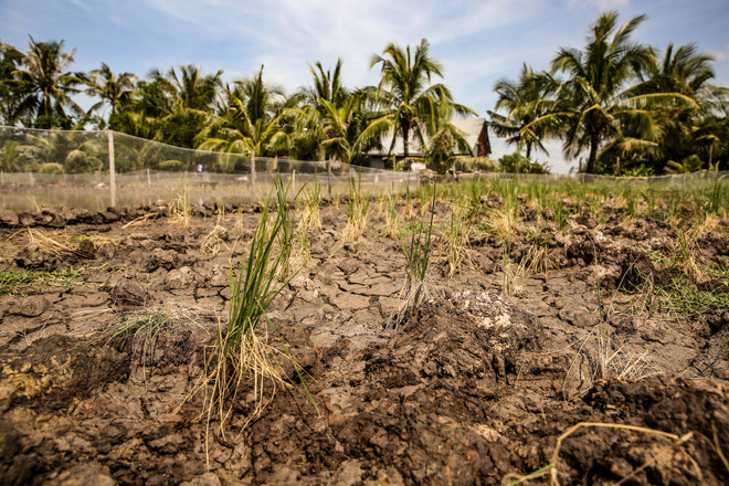 Ứng phó với biến đổi khí hậu: Dai dẳng cuộc chiến không tiếng súng ảnh 3