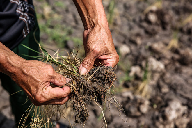 Ứng phó với biến đổi khí hậu: Dai dẳng cuộc chiến không tiếng súng ảnh 6