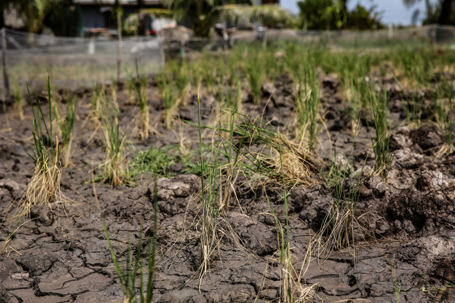 Ứng phó với biến đổi khí hậu: Dai dẳng cuộc chiến không tiếng súng ảnh 4