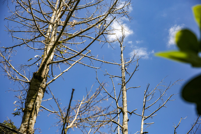 Ứng phó với biến đổi khí hậu: Dai dẳng cuộc chiến không tiếng súng ảnh 8