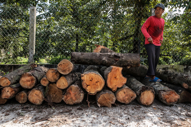Ứng phó với biến đổi khí hậu: Dai dẳng cuộc chiến không tiếng súng ảnh 3