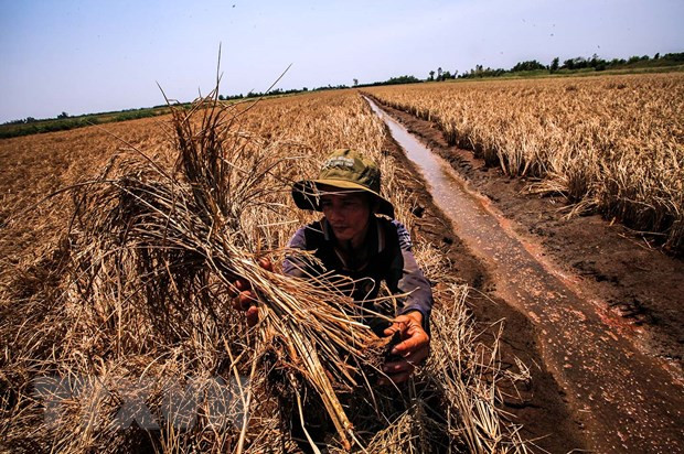 Ứng phó với biến đổi khí hậu: Dai dẳng cuộc chiến không tiếng súng ảnh 2