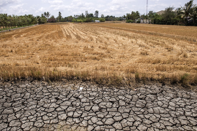 Ứng phó với biến đổi khí hậu: Dai dẳng cuộc chiến không tiếng súng ảnh 2