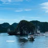 Vịnh Hạ Long một chiều sóng yên biển lặng. (Ảnh minh họa: Mai Mai/Vietnam+)