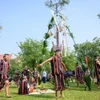 Dân tộc Cơ Tu, Đà Nẵng trình diễn cây Nêu với “Lễ ăn trâu mừng lúa nước.” (Ảnh: PV/Vietnam+)