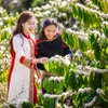 Hoa hậu quê Đắk Lắk quảng bá càphê Buôn Mê Thuột và Việt Nam tới bạn bè quốc tế