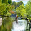 Cảnh đẹp nên thơ ở Kurashiki, thành phố thuộc tỉnh Okayama. (Ảnh: CTV/Vietnam+)