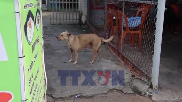 TP.HCM cảnh báo gia tăng bệnh đái tháo đường trong thời tiết nắng nóng
