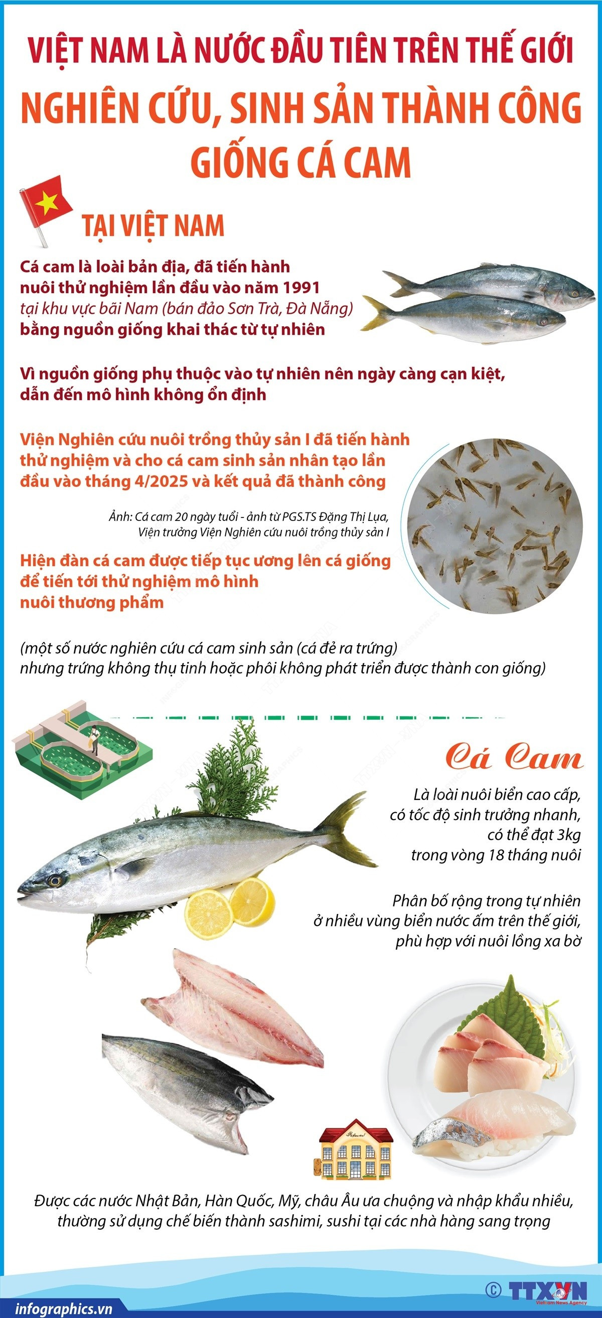 1405-ca-cam.jpg