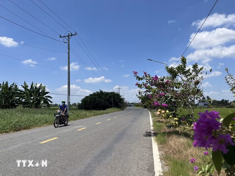 ttxvn-tay-ninh-3-resize.jpg