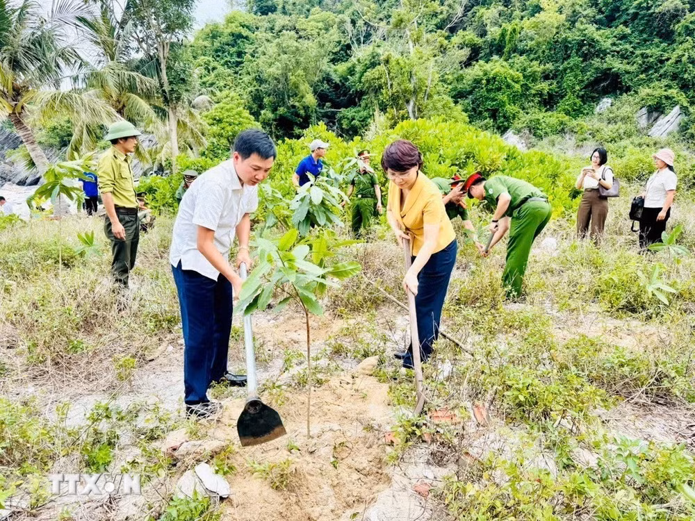 Mỗi ngư dân, hộ sản xuất kinh doanh là một “người gác biển”, bảo vệ môi trường- Ảnh 3.