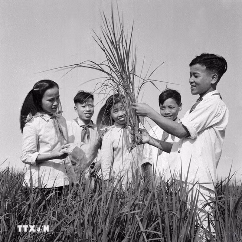 ttxvn-doi-thieu-nien-8-resize.jpg
