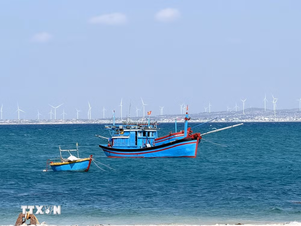ttxvn-hon-cau-2-resize.jpg
