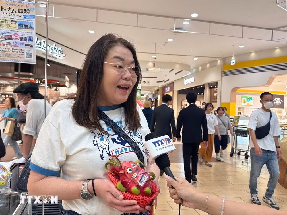 ttxvn-hang-vn-tai-nhat-2.jpg