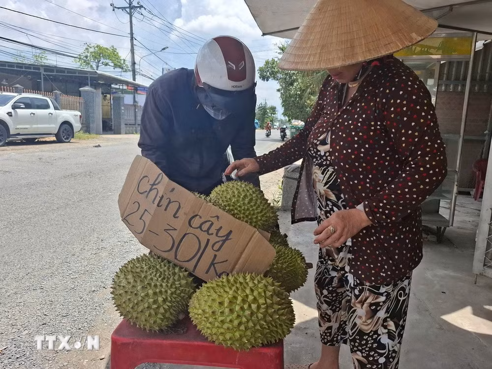 ttxvn-sau-rieng-1.jpg