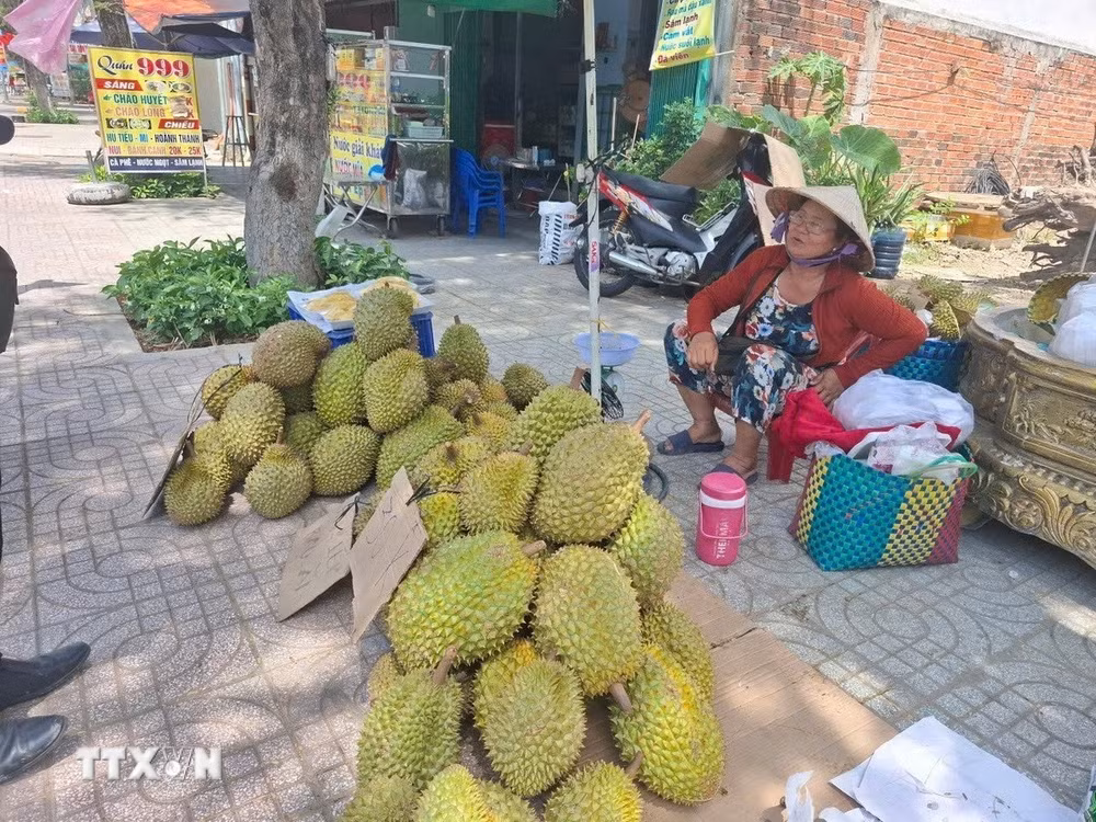 ttxvn-sau-rieng-2.jpg