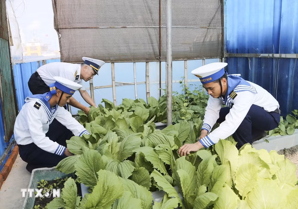 ttxvn-cay-xanh-truong-sa-1.jpg