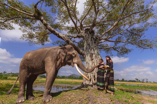 រូបភាពដែលបង្កប់ដោយវប្បធម៌ Ede ប្រពៃណីនៅក្នុង MV ថ្មីរបស់ H'Hen Nie។ (រូបថត៖ NVCC) teaser-mv-con-sinh-ra-la-de-phi-thuong17.jpg