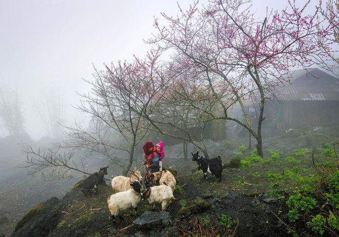 World Travel Awards vinh danh Cao nguyên đá Đồng Văn là điểm đến hàng đầu z6499332995423-4f8176d38416bb949ea1097276282c20.jpg