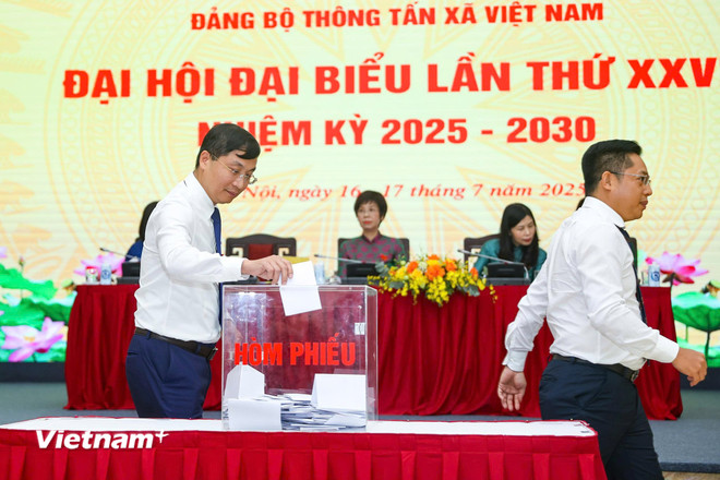 vnp-5.jpg