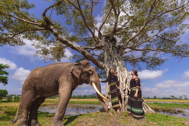H'Hen Nie ផ្សព្វផ្សាយវប្បធម៌ប្រពៃណីរបស់ជនជាតិ Ede ក្នុង MV teaser-mv-con-sinh-ra-la-de-phi-thuong16.jpg
