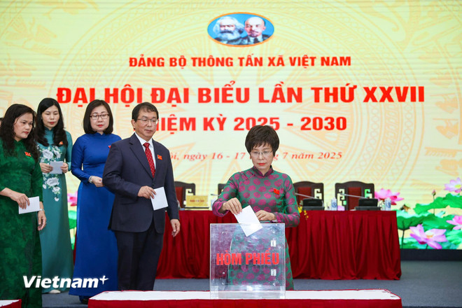 vnp-4.jpg