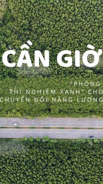 Cần Giờ - “phòng thí nghiệm xanh” cho chuyển đổi năng lượng