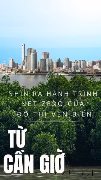Từ Cần Giờ nhìn ra hành trình Net Zero của đô thị ven biển