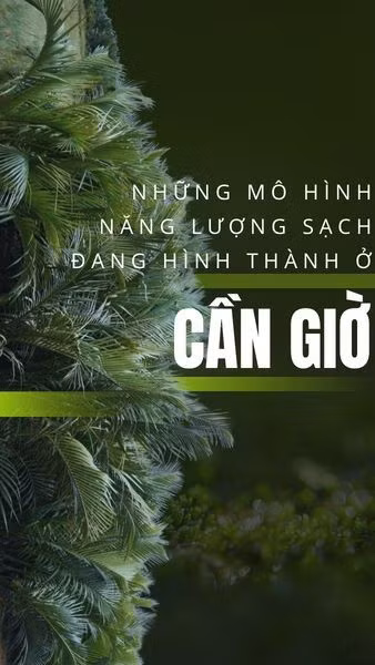 Những mô hình năng lượng sạch đang hình thành ở Cần Giờ