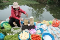 Chợ Đình Cả mỗi năm chỉ họp một phiên vào mùng 2 Tết. (Ảnh: Minh Quyết/TTXVN)