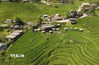 Tổng vốn dự kiến huy động thực hiện chương trình giai đoạn 2026-2030 khoảng 1,044 triệu tỷ đồng. (Ảnh: Hương Thu/TTXVN)