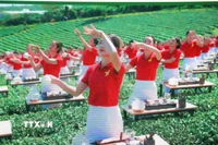 Tiết mục 1111 trà nương biểu diễn nghệ thuật trà đạo, 1 trong 4 kỷ lục Việt Nam thiết lập tại Lễ hội trà quốc tế. (Ảnh: Chu Quốc Hùng/TTXVN)