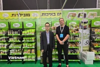 Tham tán Thương vụ Đại sứ quán Việt Nam Lê Thái Hòa tại một gian trưng bày. (Nguồn: Vietnam+)